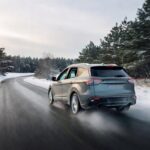 winter hybrid preparation