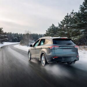 winter hybrid preparation